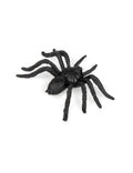 12 Araignées Halloween