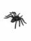 12 Araignées Halloween