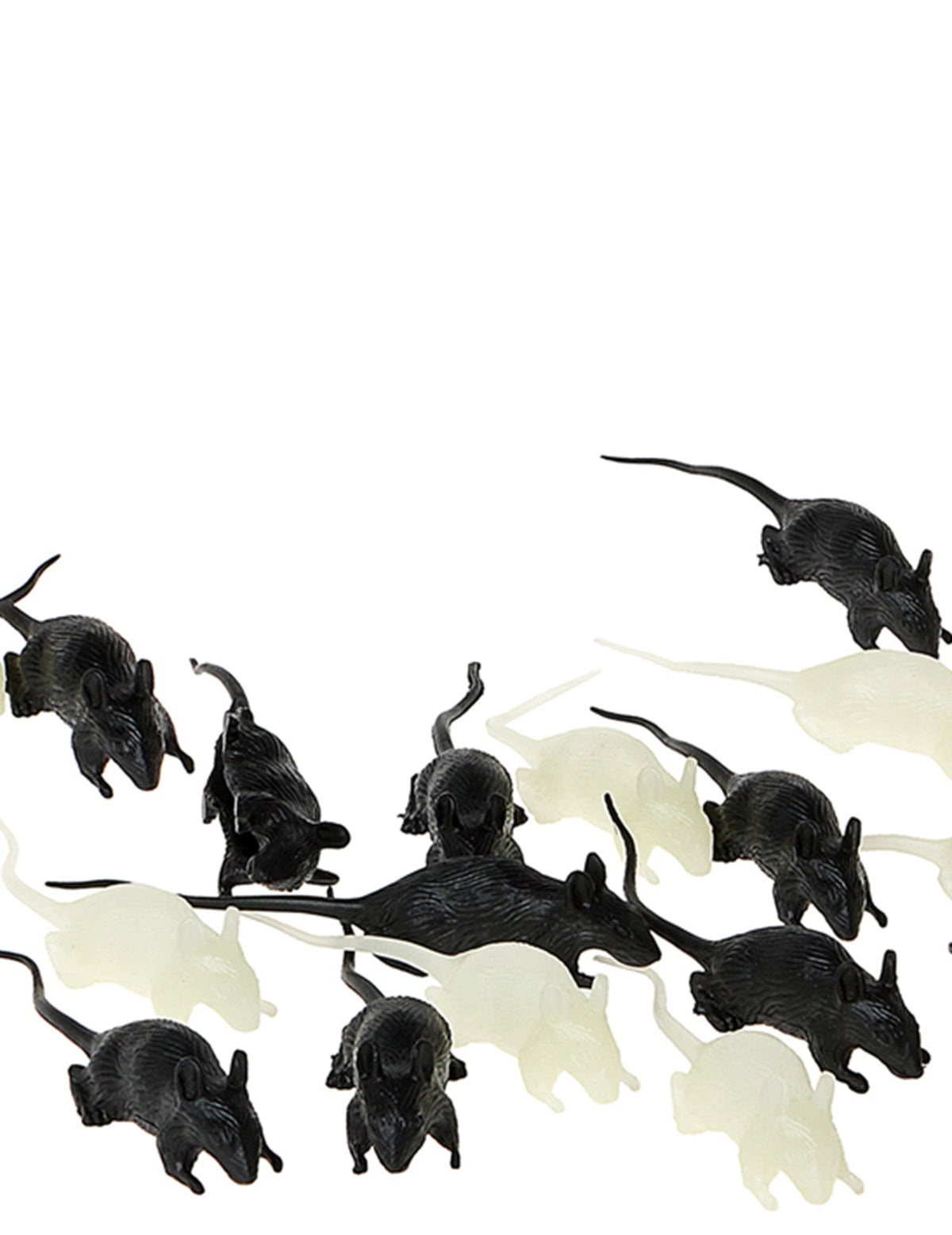 12 rats phosphorescents — article 1
