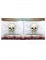 2 Taies d'oreiller squelette 53 x 81 cm Halloween