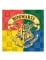 20 Serviettes en papier Harry Potter™ 33 x 33 cm