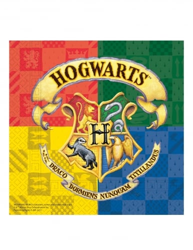 20 Serviettes en papier Harry Potter™ 33 x 33 cm