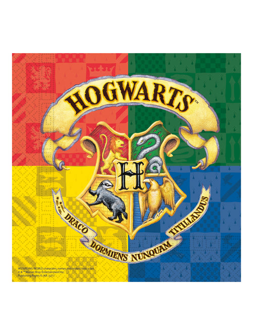 20 Serviettes en papier Harry Potter™ 33 x 33 cm
