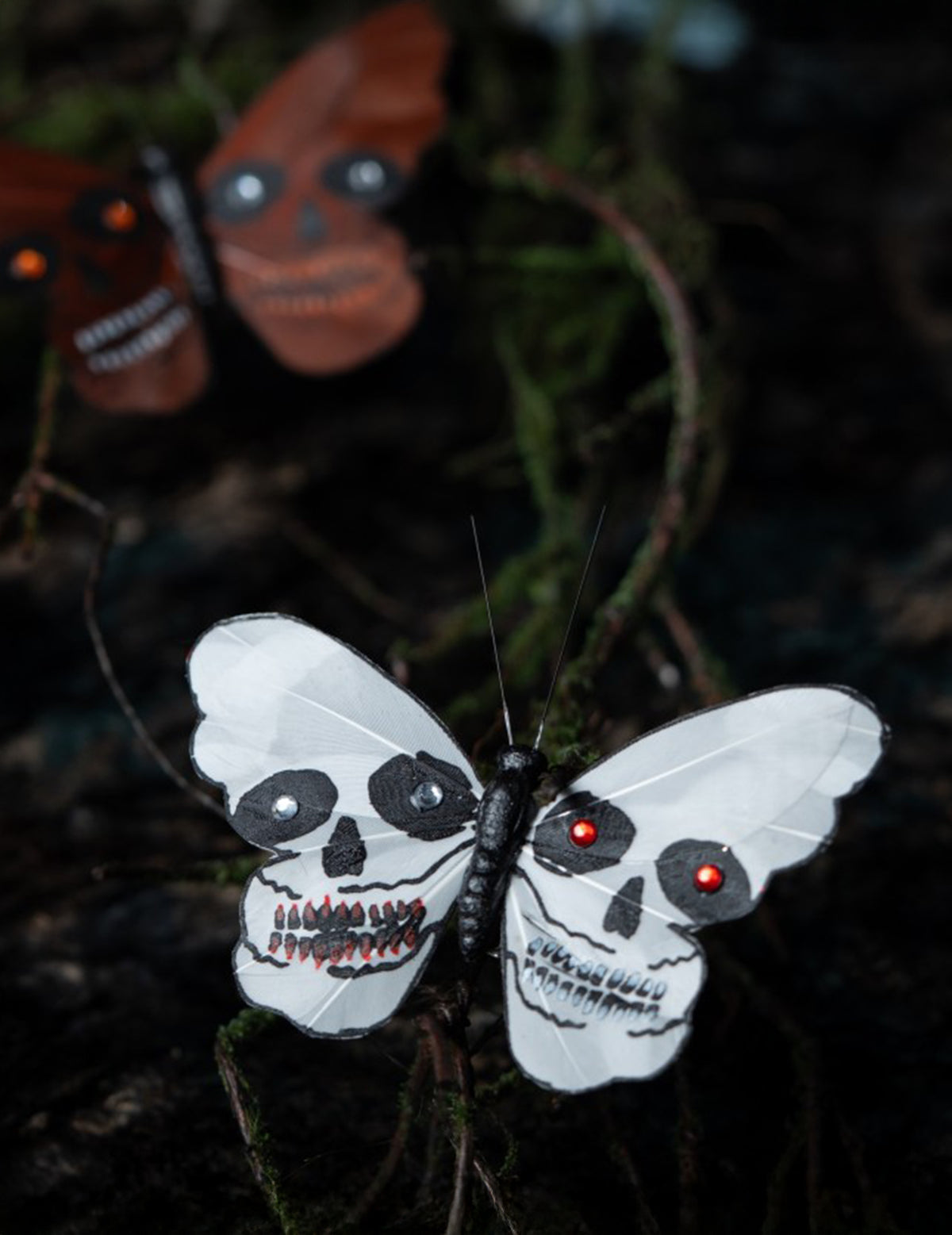 Papillon tête de mort 13 x 10 cm