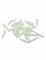40 Asticots blancs 3 cm