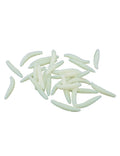 40 Asticots blancs 3 cm