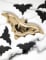 6 assiettes en carton chauve-souris dorées métallisées pour halloween