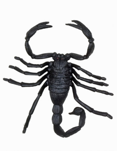 6 Décorations petites créatures Halloween