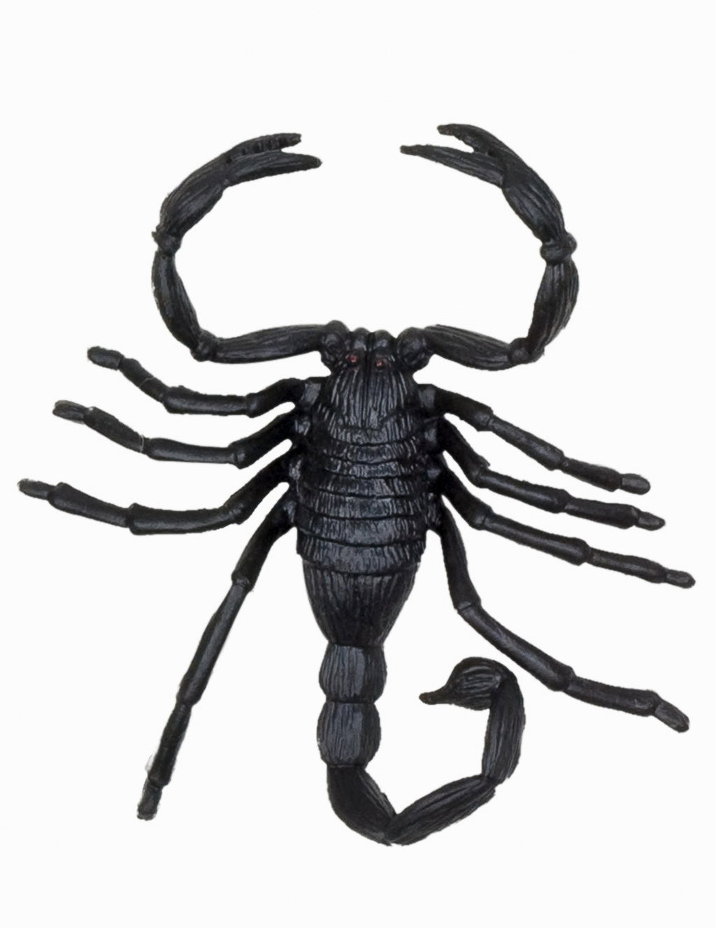 6 Décorations petites créatures Halloween