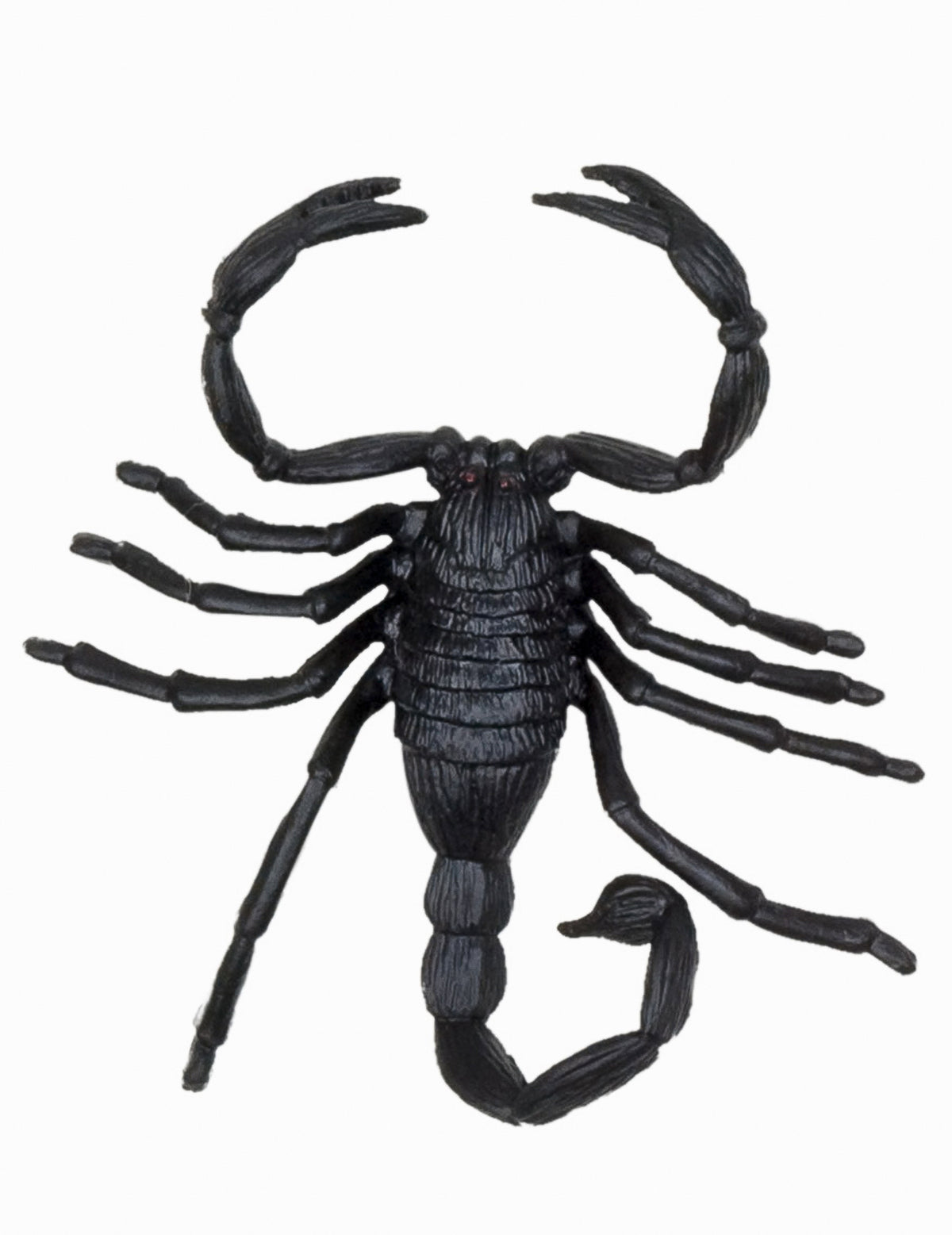 6 Décorations petites créatures Halloween