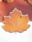 8 assiettes en carton feuille d'automne 23 cm contour doré