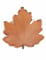 8 assiettes en carton feuille d'automne 23 cm contour doré