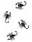 8 Scorpions noirs 6 cm