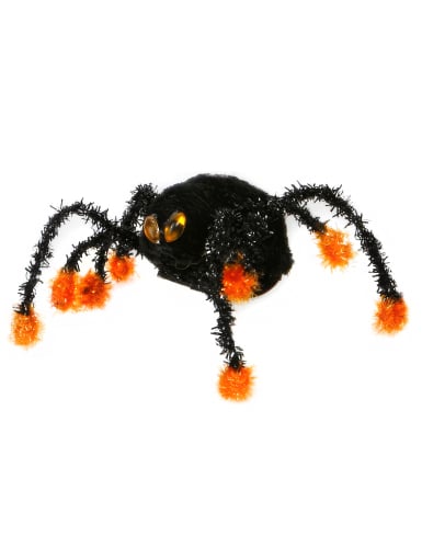 Araignée noire avec des pattes noires
