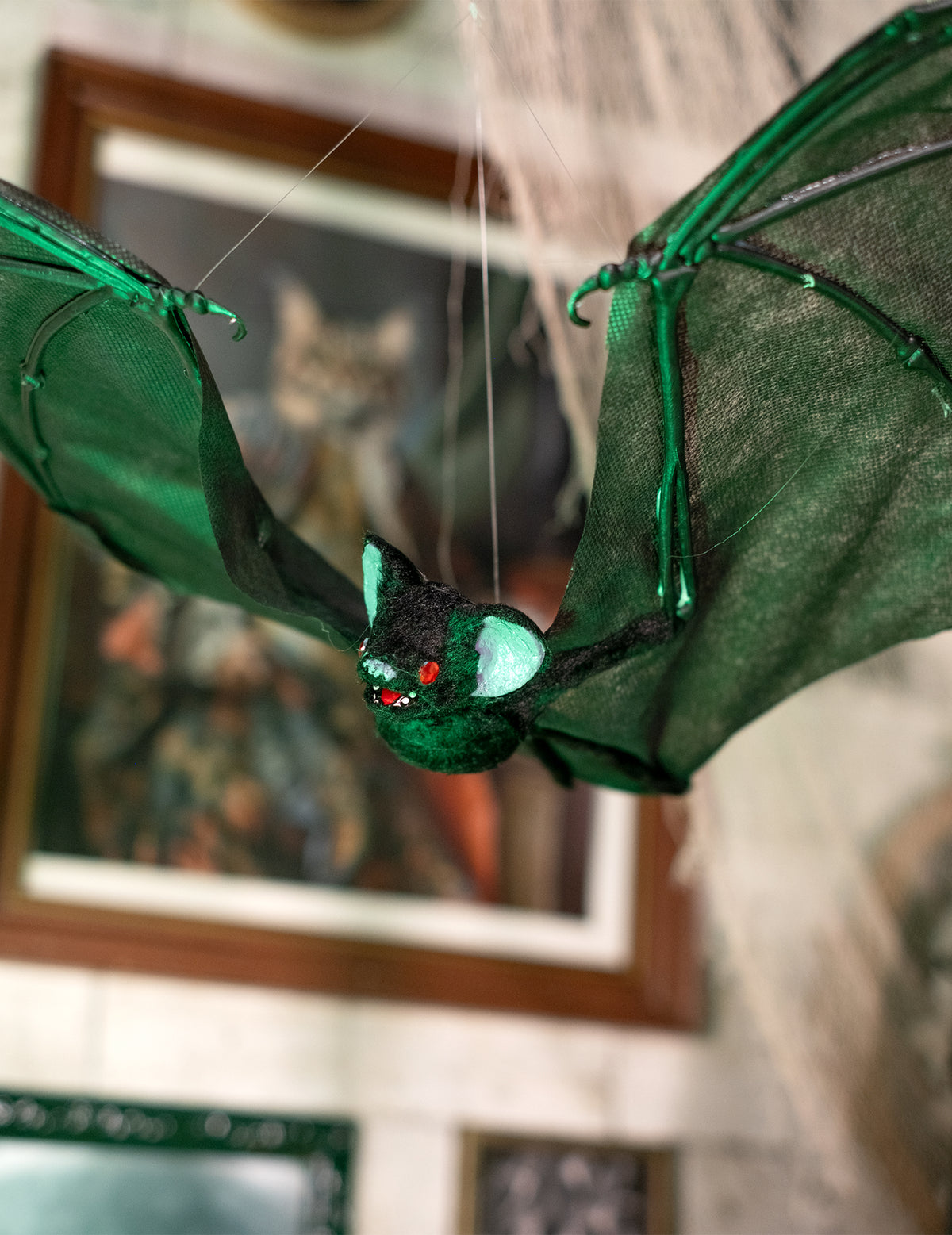 Chauve-souris volante 50 cm