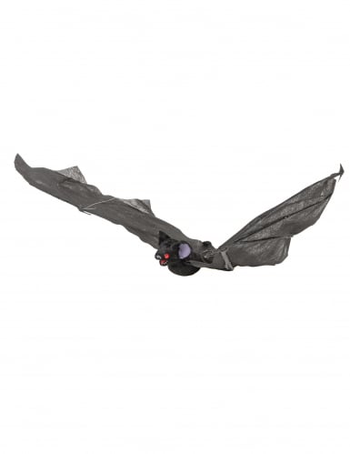 Chauve-souris volante 50 cm