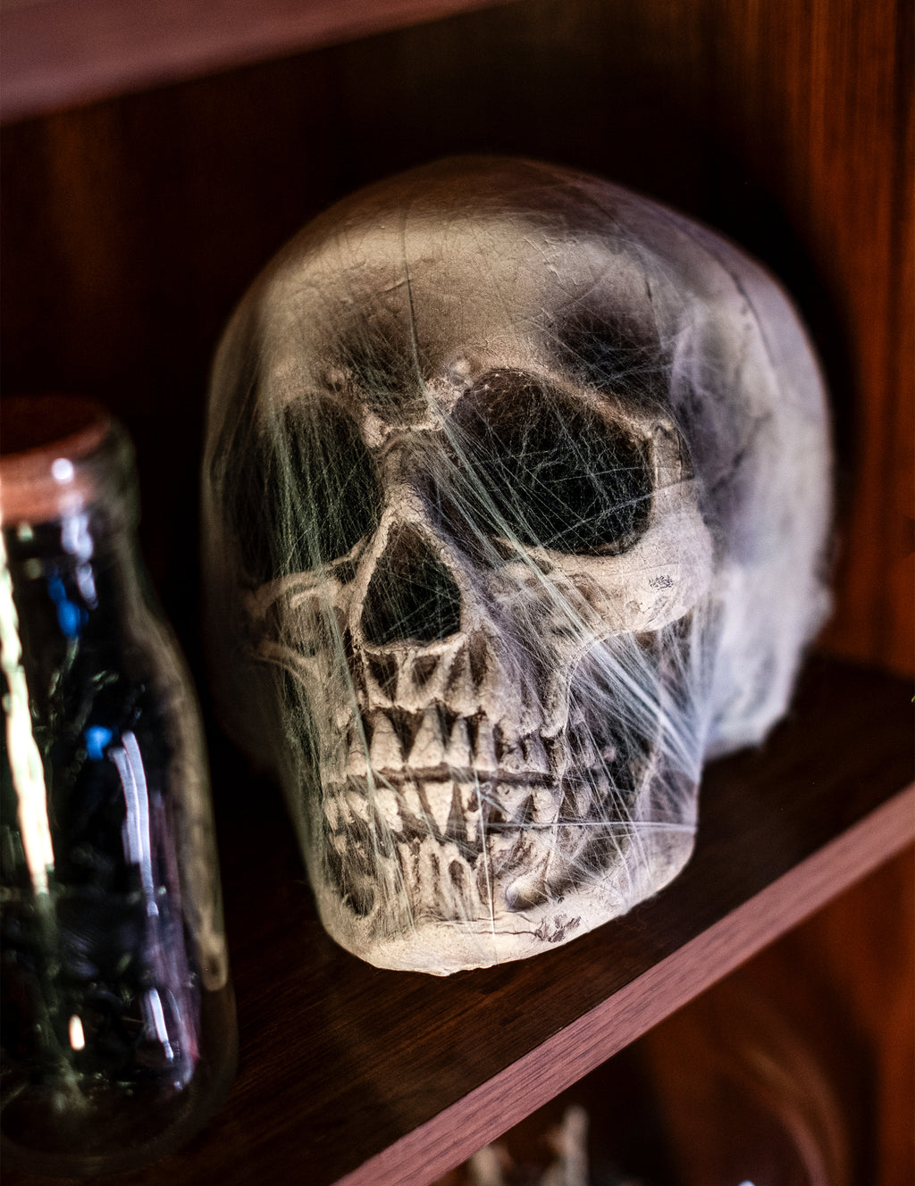 Décoration crâne avec toile d'araignée