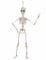 Décoration squelette articulé 48cm