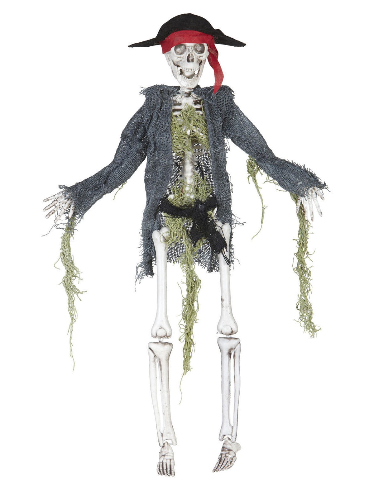 Le trésor du pirate maudit — zombie pirate, 42 cm
