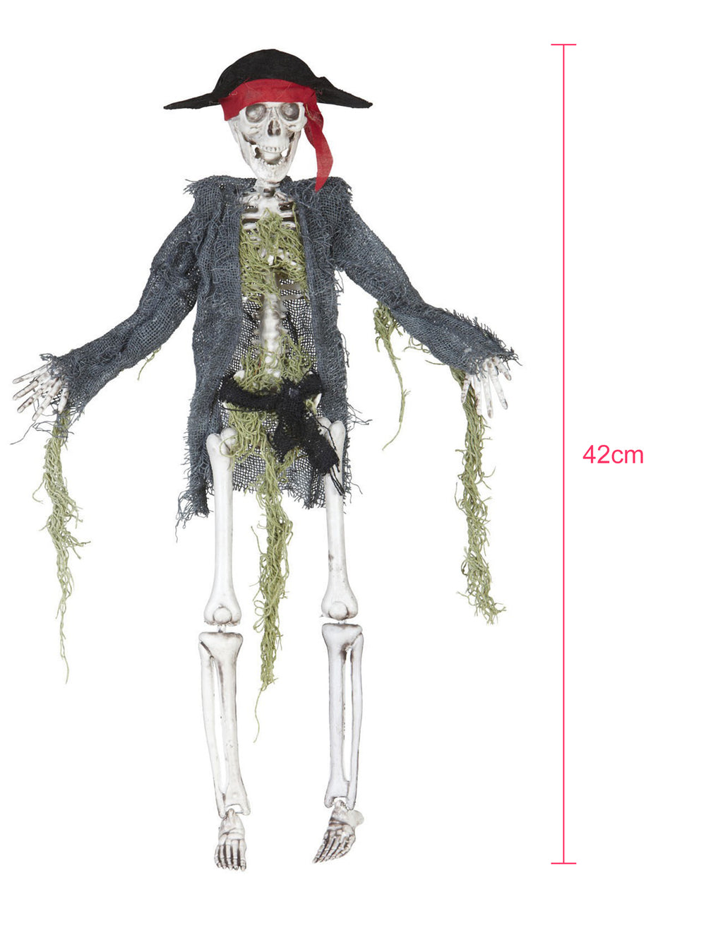 Le trésor du pirate maudit — zombie pirate, 42 cm