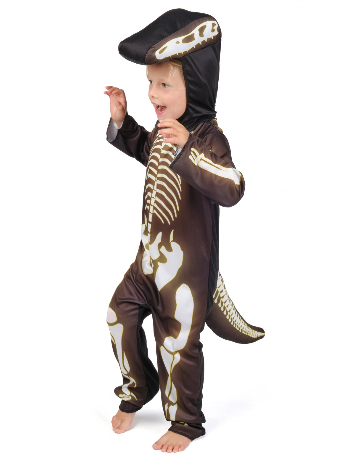 Pack squelette de dinosaure enfant — photo des articles
