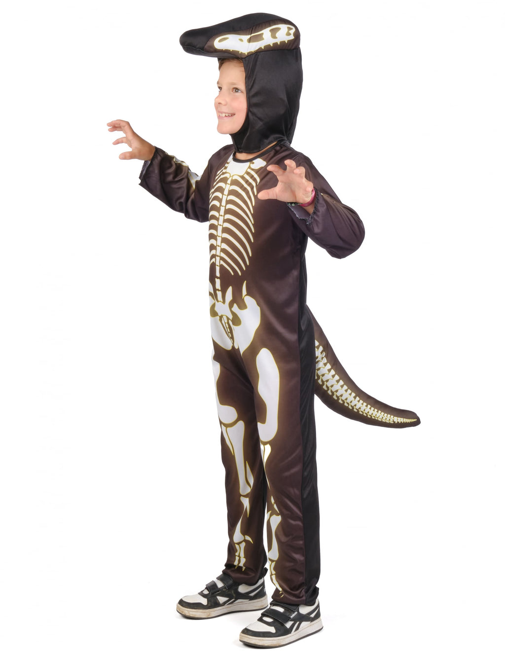 Pack squelette de dinosaure enfant — photo des articles