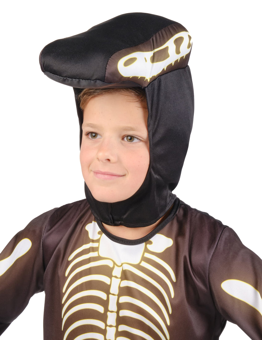 Pack squelette de dinosaure enfant — photo des articles