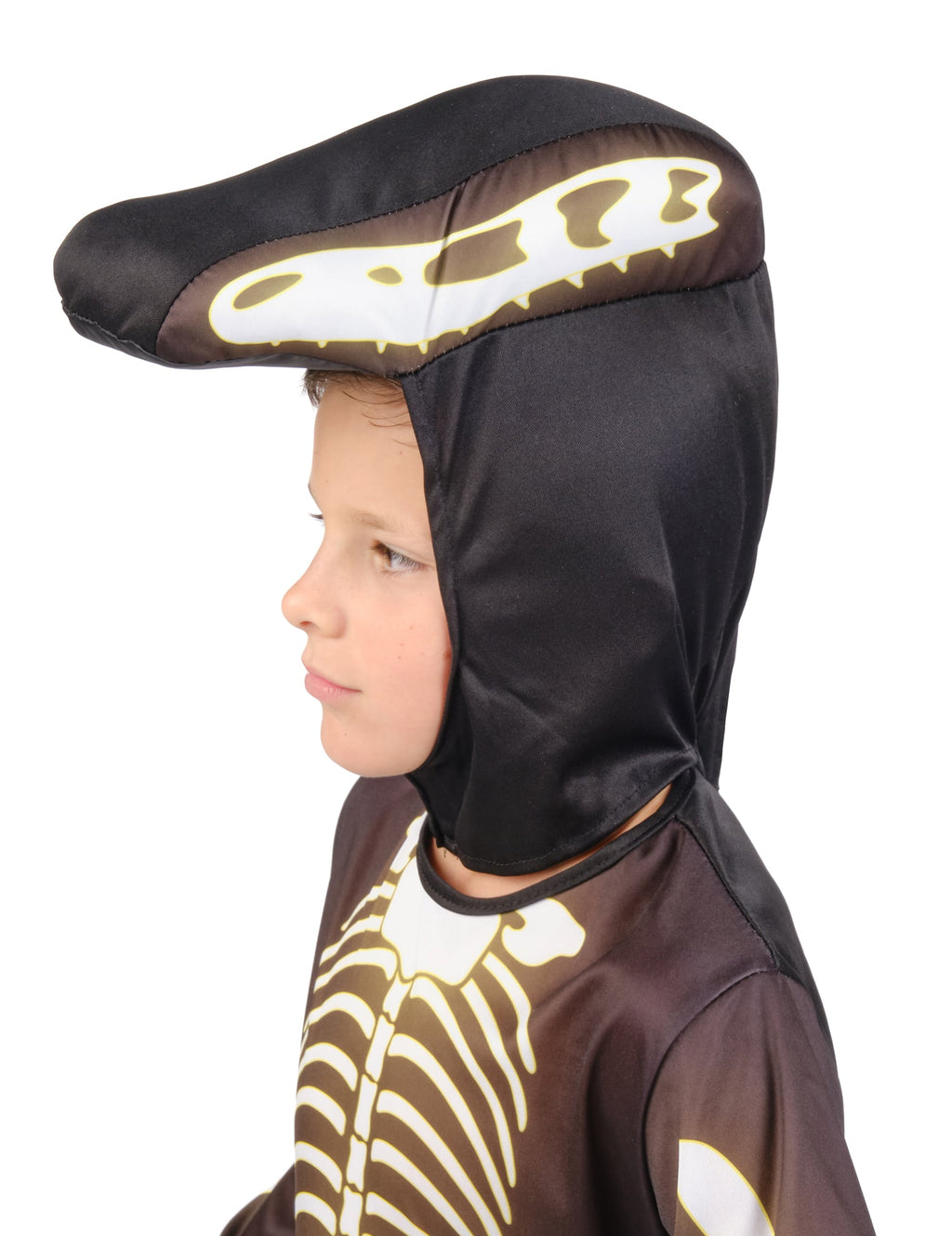 Pack squelette de dinosaure enfant — photo des articles