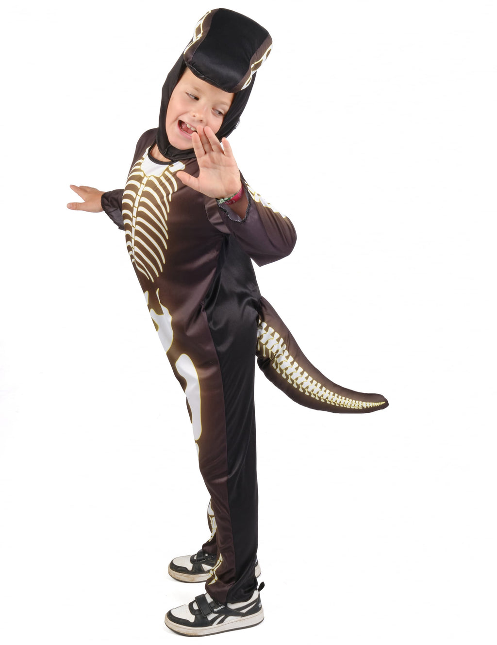 Pack squelette de dinosaure enfant — photo des articles
