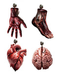 Guirlande en papier organes humains Halloween 3 m