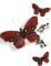 Papillon tête de mort 13 x 10 cm