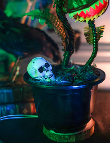 Plante carnivore animée 42 cm