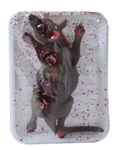Plateau rat en barquette 19 x 12 cm