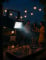Projecteur lumière Flash stroboscopique 35