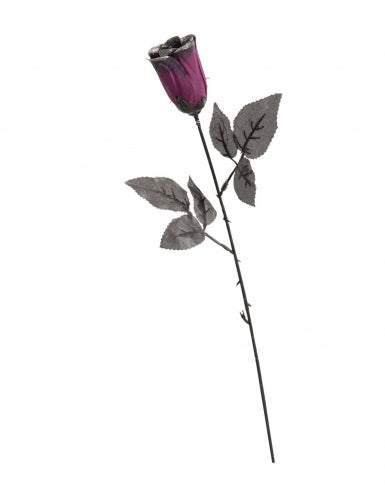 Rose noire et violette pailletée
