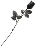 Rose noire