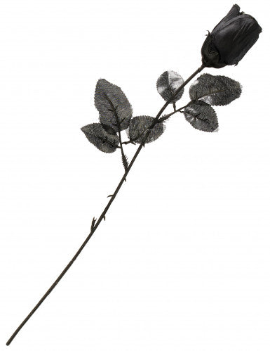 Rose noire