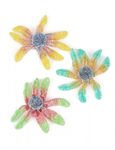Sachet bonbons poulpes - 1 kg