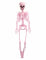 Squelette articulé rose Summerween 1 m