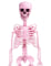 Squelette articulé rose Summerween 1 m