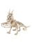 Squelette de dragon 35cm