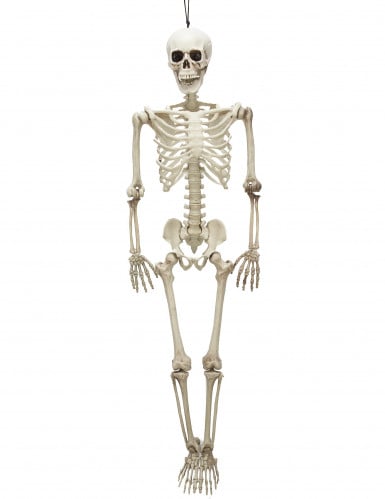 Squelette articulé 90 cm Halloween