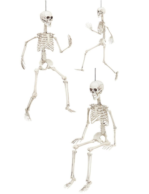 Squelette articulé 90 cm Halloween