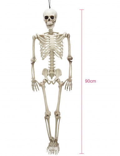 Squelette articulé 90 cm Halloween