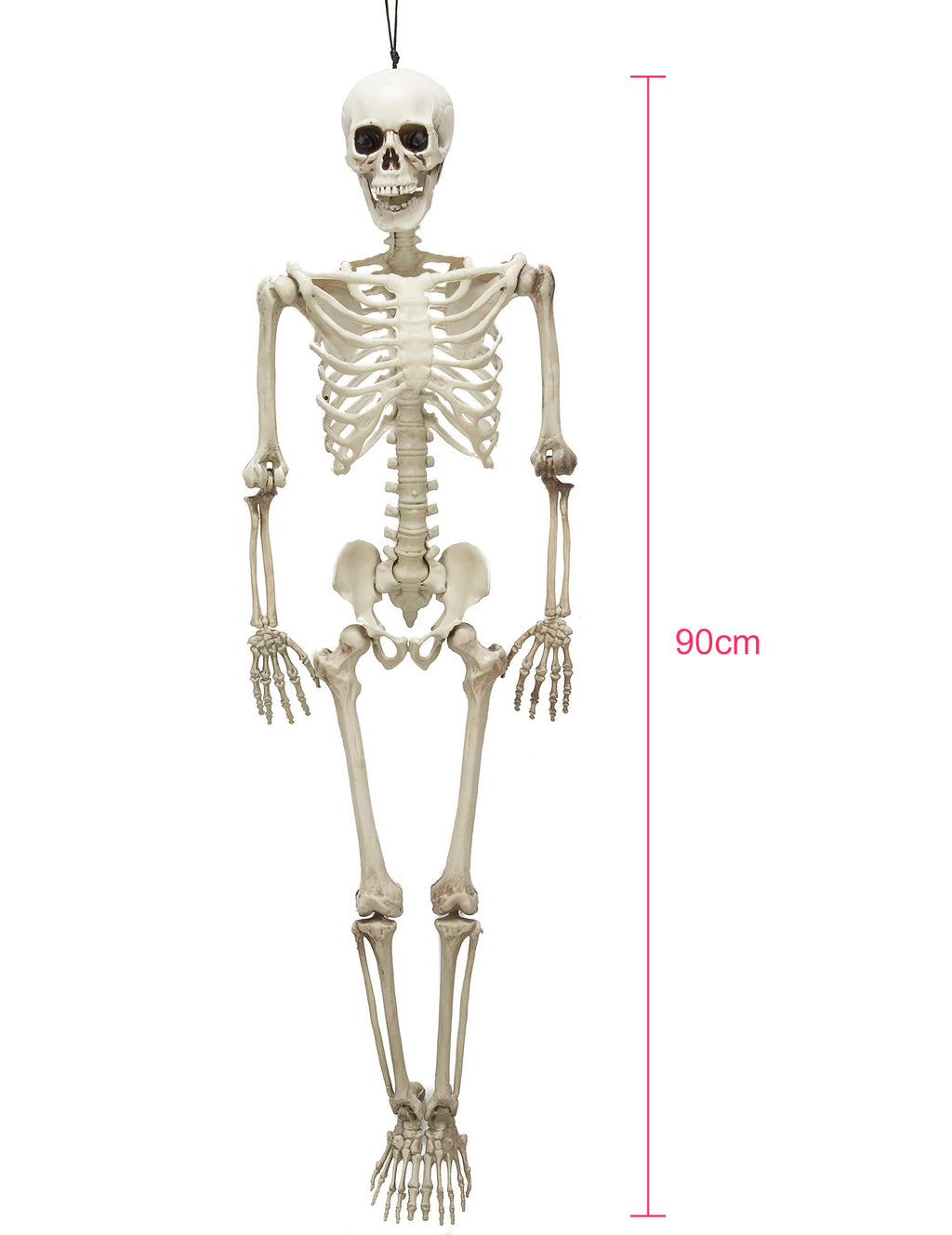 Squelette articulé 90 cm Halloween