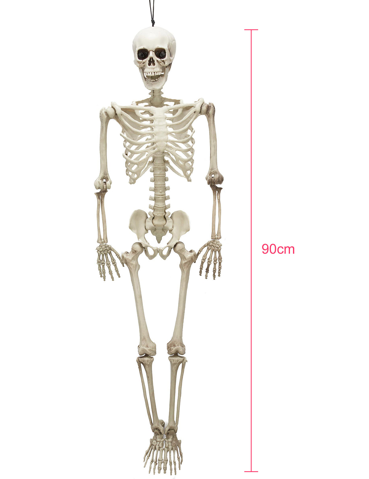 Squelette articulé 90 cm Halloween