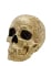 Tête de mort baroque dorée en résine 25cm