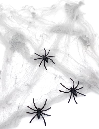 Toile d'araignée blanche avec araignées 20 g Halloween